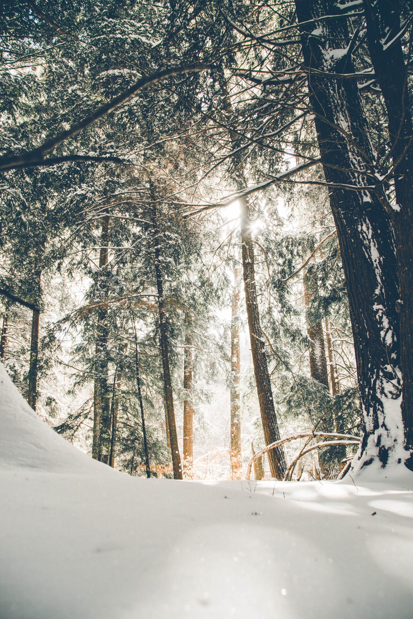 How To Conquer Winter Weather – Women’s Edition