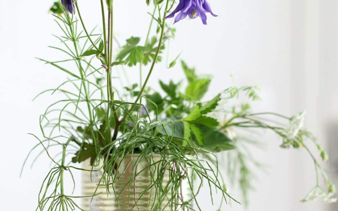 Today Is The Day – Reset Your Pantry For Summer Now!